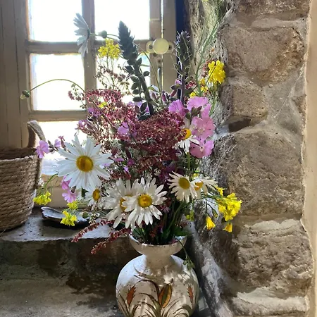 Frühstückspension Le Montesser