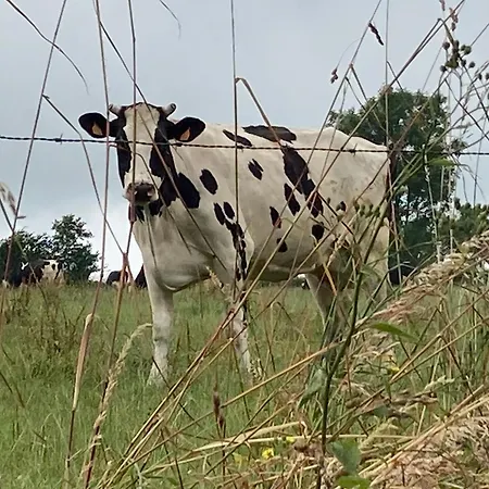 Bed & Breakfast Le Montesser