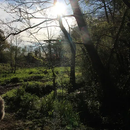 Le Montesser Villebaudon