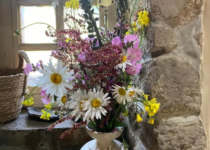 Panzió Le Montesser