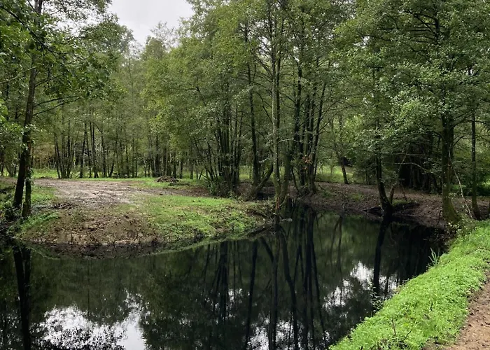 Le Montesser Panzió *