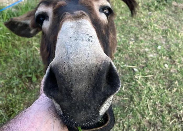 Le Montesser * Villebaudon