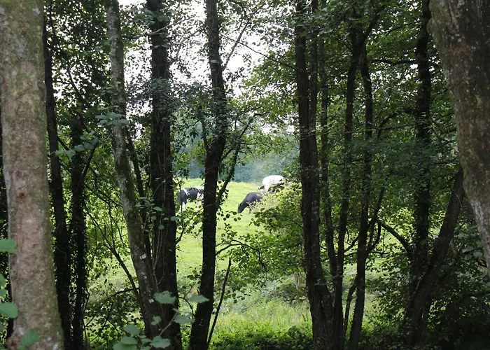 Le Montesser Panzió Villebaudon
